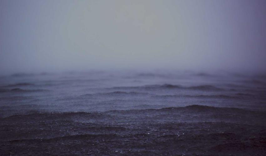 Phối đồ váy đầm 2026 với túi da thực vật