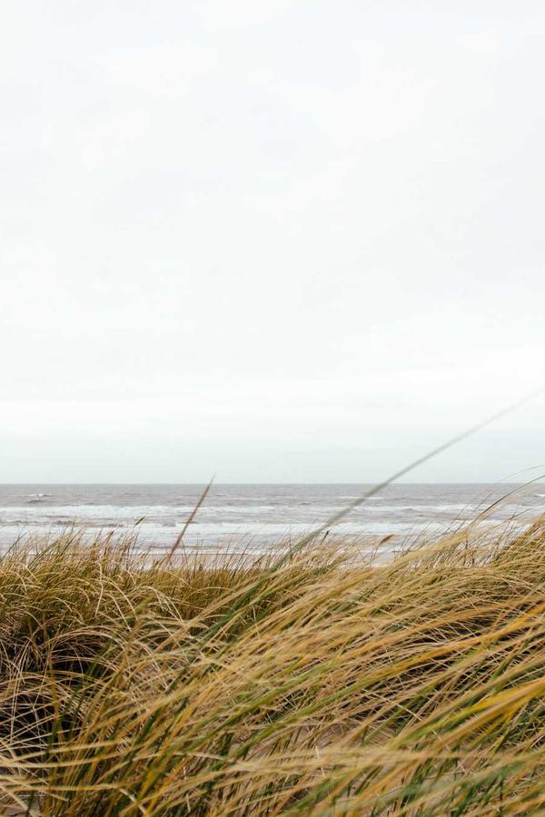 Beauty gallery frame