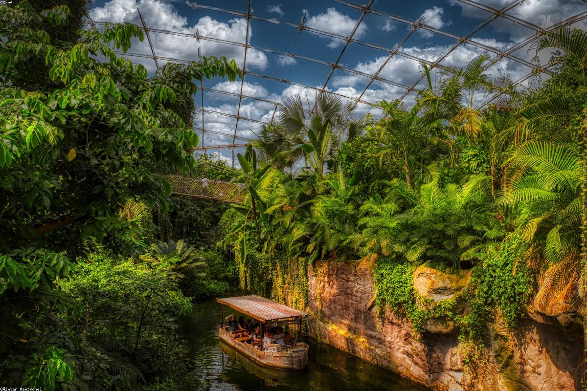 Tầm nhìn tương lai