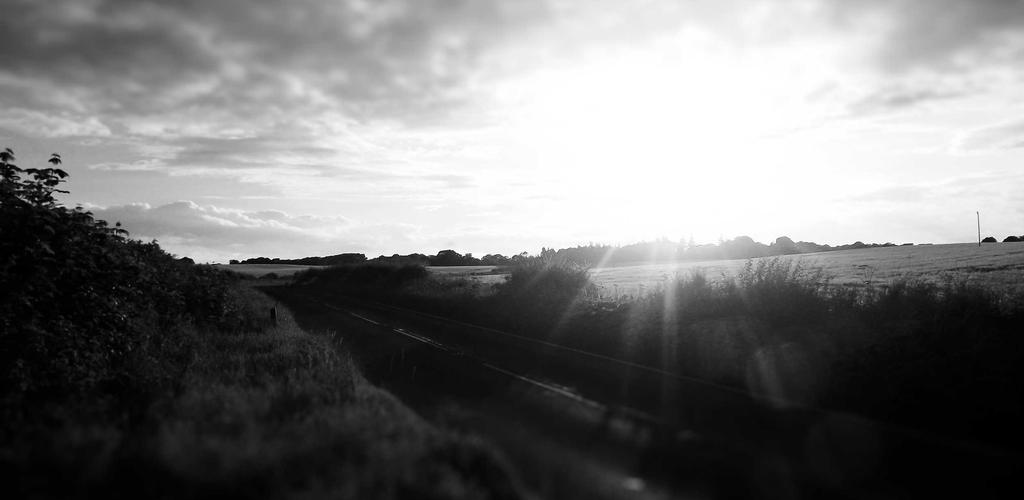 Fine Dining 2026 Kitchen