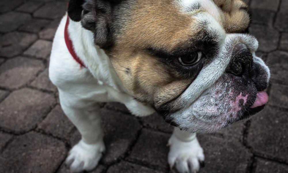 Ocean Sunset Glamping