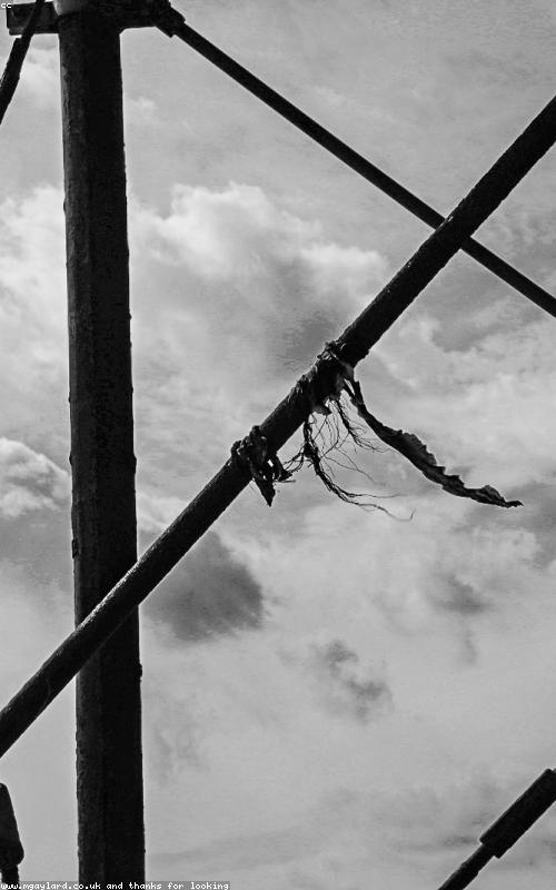 Natural Light Technique