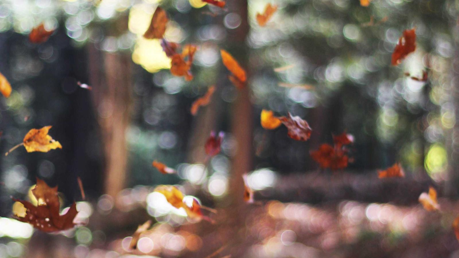 Future Tech Hyper-loop 2026