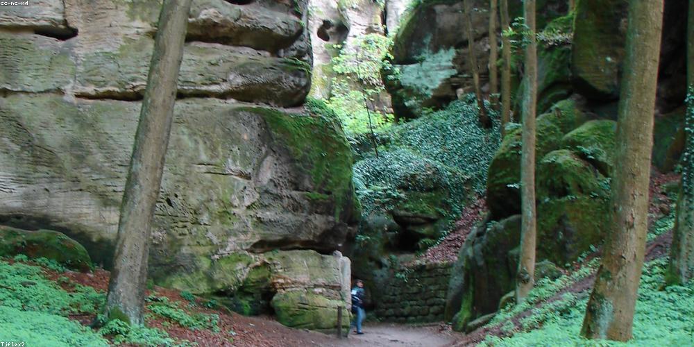 Du lịch chậm tại B&B