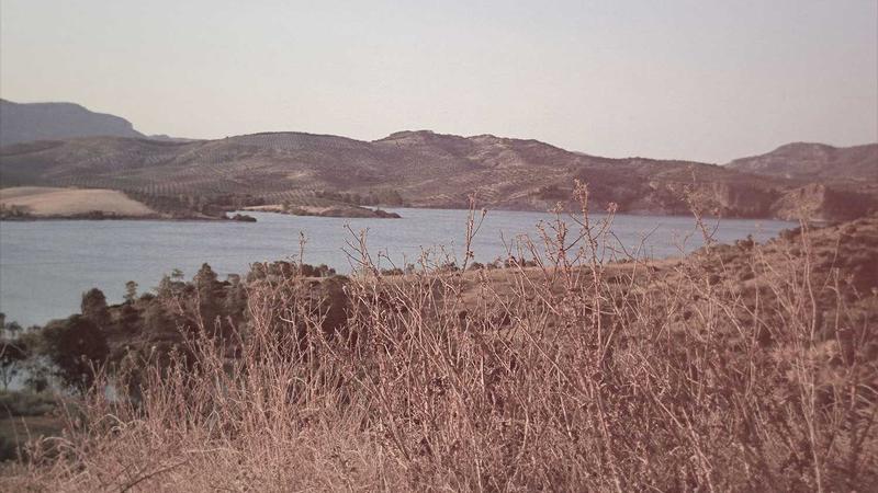 Trang trí bong bóng nghệ thuật