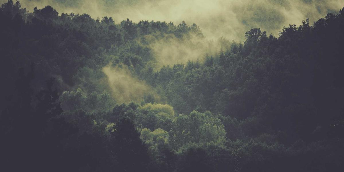 Tối ưu SEO bằng AI