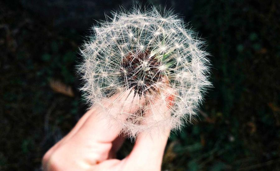 Góc chụp hình scrapbook 2026