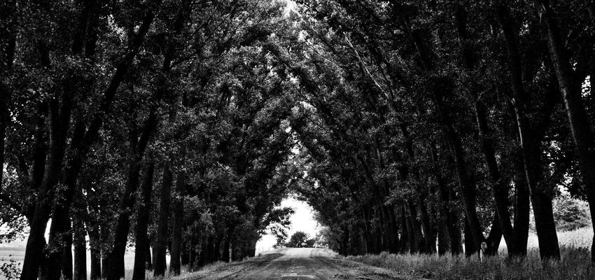 Nghệ thuật và Công nghệ 2026