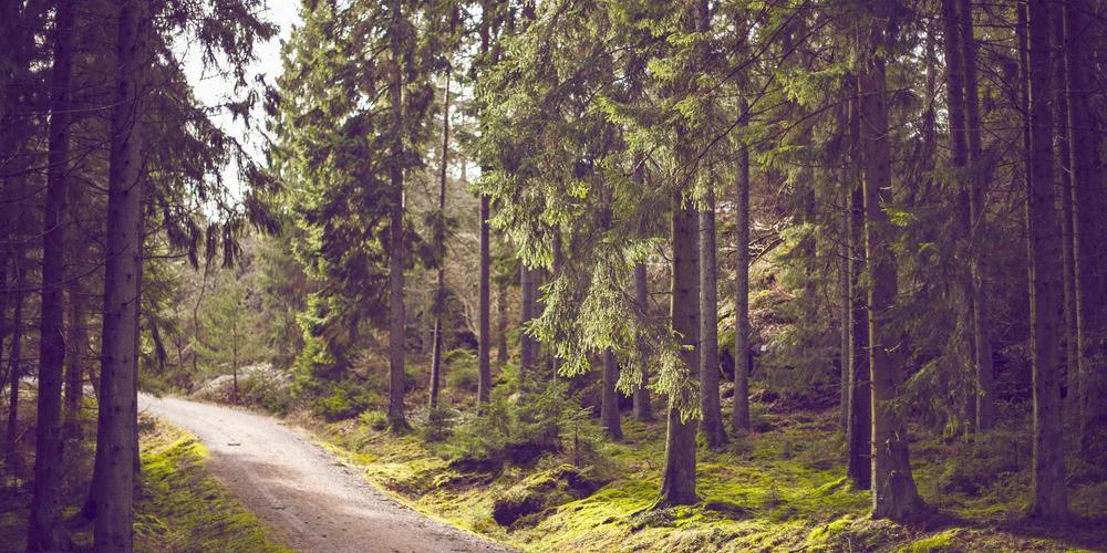 Barista làm việc với máy pha cà phê thông minh 2026