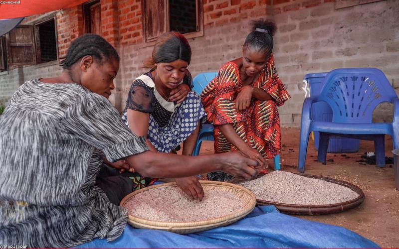 Chế độ dinh dưỡng và sức khỏe mẹ bỉm