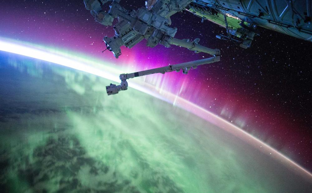 Nội thất sinh học