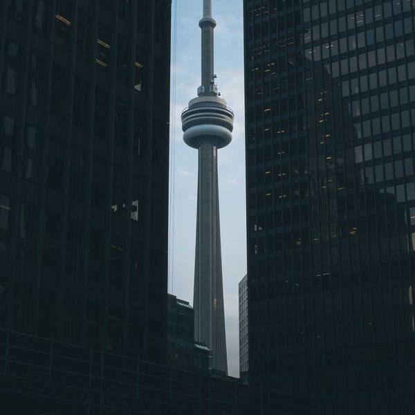 Túi xách da xương rồng 2026