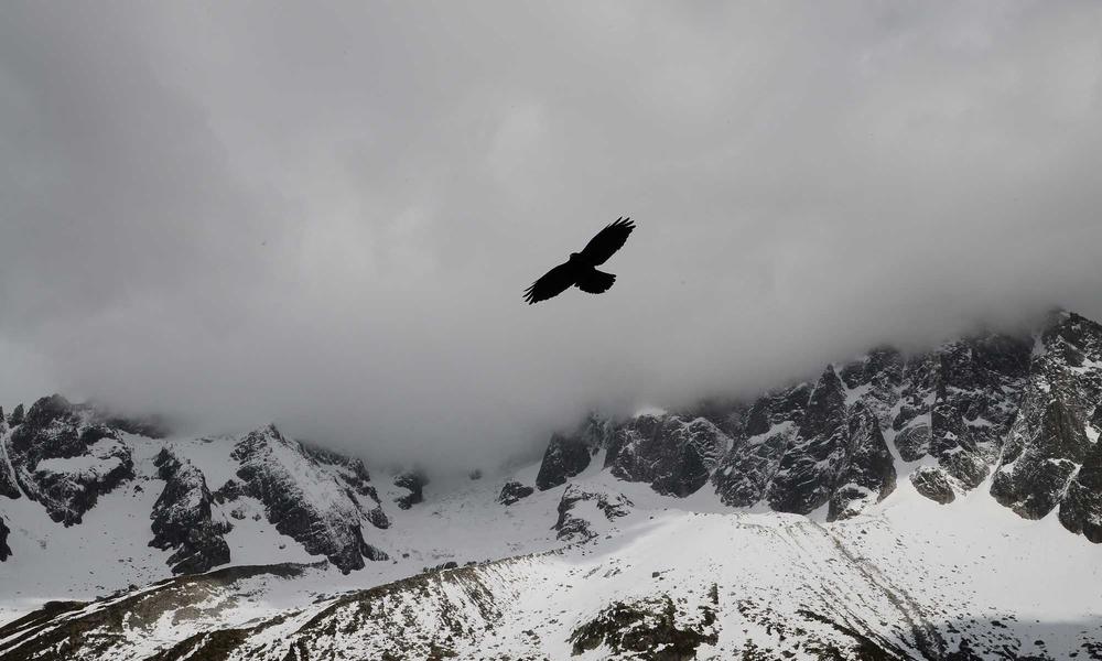 Hermès Birkin Shadow Luxury Edition 2026