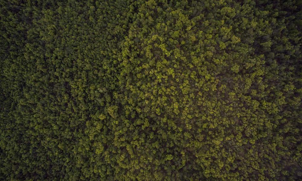 Tương lai của thiết kế website