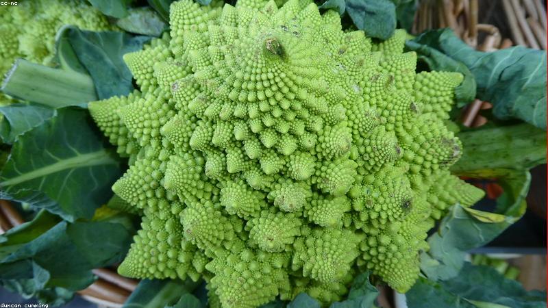 Sản phẩm rau củ sạch giàu dinh dưỡng