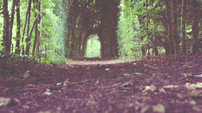 Customization Details