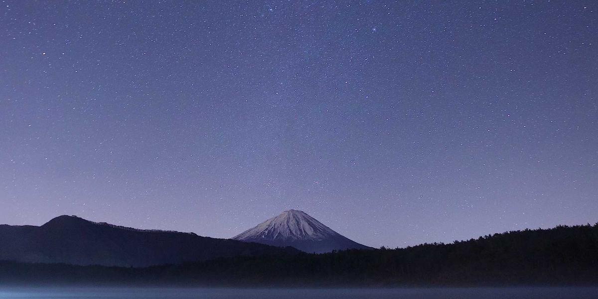 Digital financial overlay on portrait