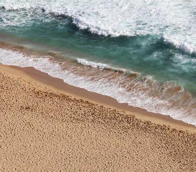 REM Data Visualization