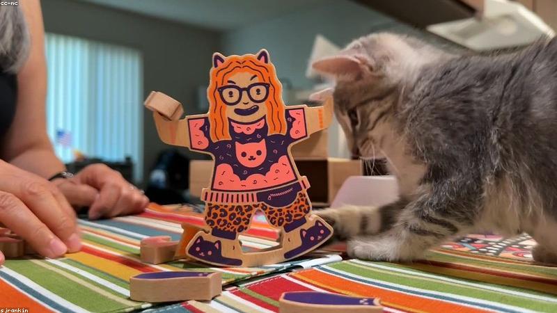 Đồ chơi gỗ bền vững thiết kế bởi Trương Hạ Vy