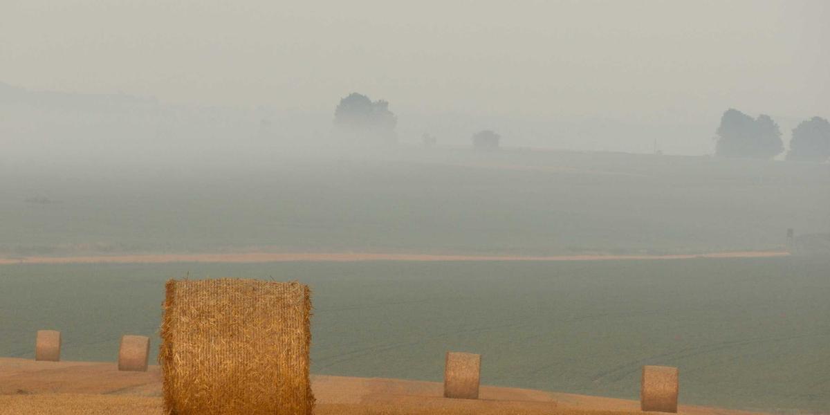 Nội dung tự động hóa bởi AI