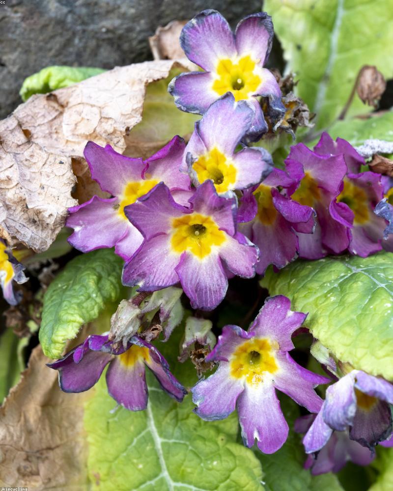 Techwear Hoodie Features