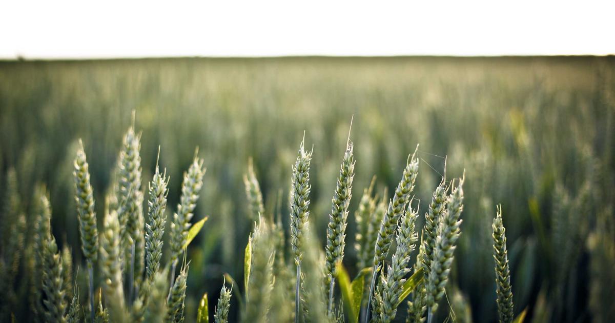 Spotify chính thức mở rộng Video Podcast tại Việt Nam: Cơ hội cho nhà sáng tạo chạm mốc 1 triệu người nghe