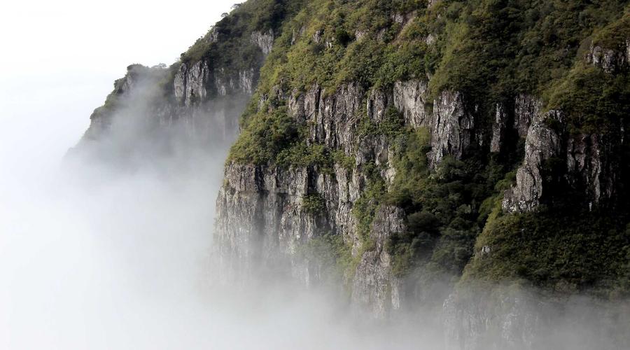 AI Technology Visualization