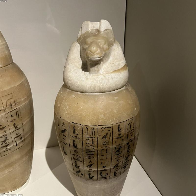 Mật Ong Hoa Bạc Hà Mèo Vạc