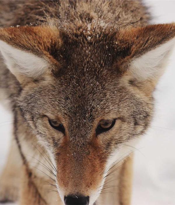 Quiet Luxury 2.0 Style