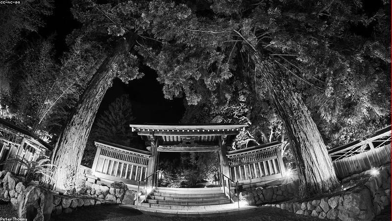 Neural Connections Visualization