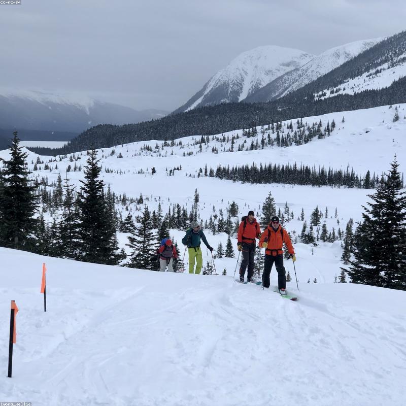 Scivation Xtend BCAA