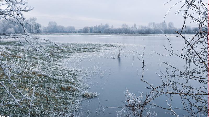 Cha mẹ và con cái cùng sử dụng công nghệ