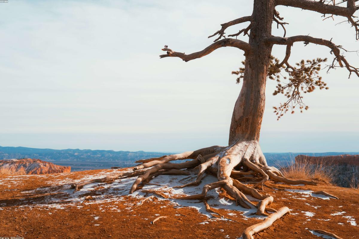 Hoàng hôn trên biển