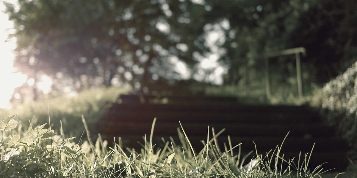 Phúc lợi đa thế hệ 2026