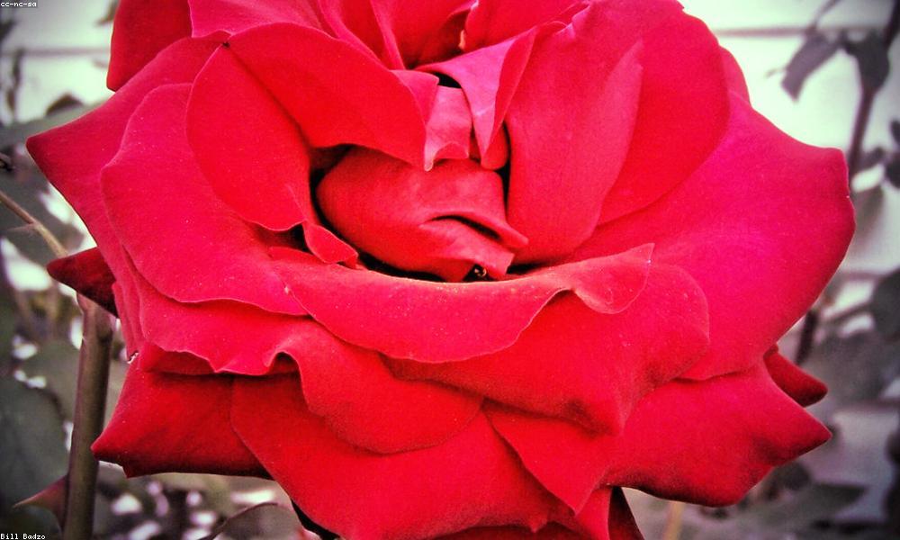 Bùi Thu Hiền tại một resort cao cấp