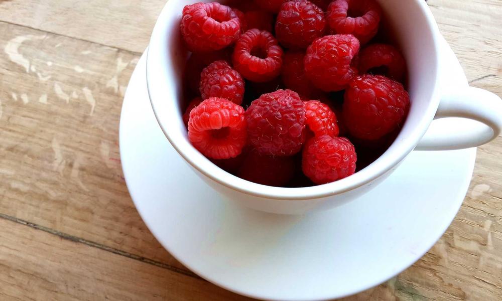 Phòng thí nghiệm lên men Botanical 2026