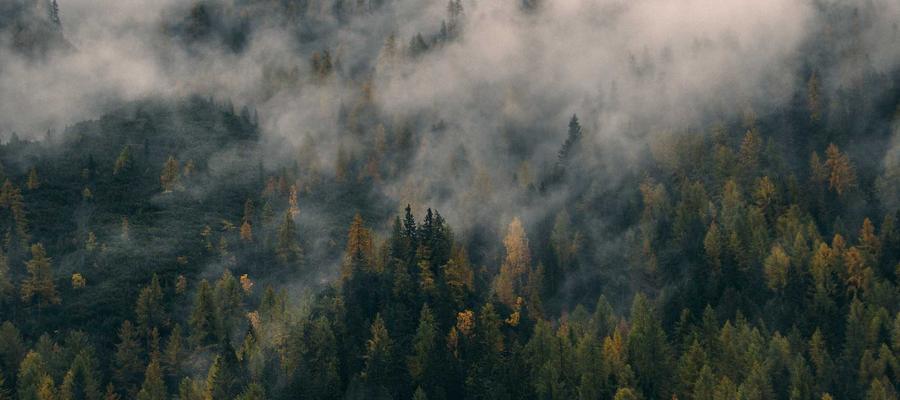 Không gian yên bình 2026