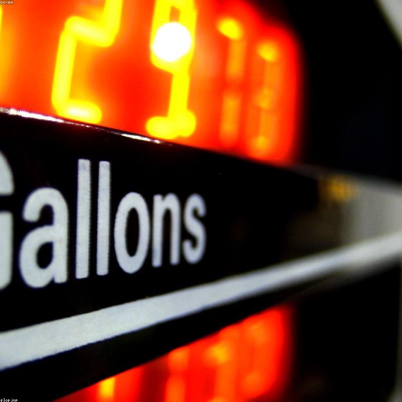 Tinh Dầu Bưởi Hồng Nguyên Chất