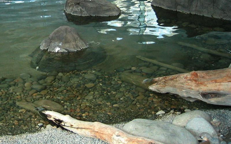 Đón tiếp khách hàng nồng hậu