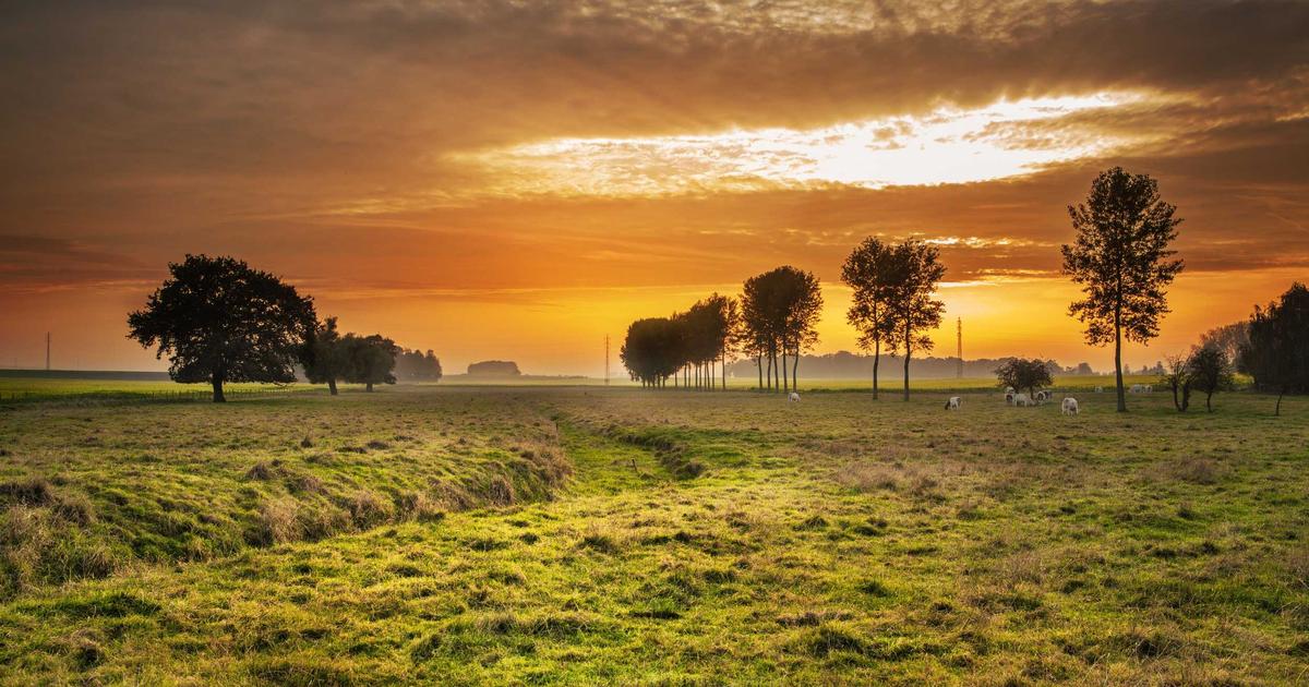 Phân tích chuyên sâu: Tại sao 123 là giải pháp then chốt cho sự phát triển của 213?