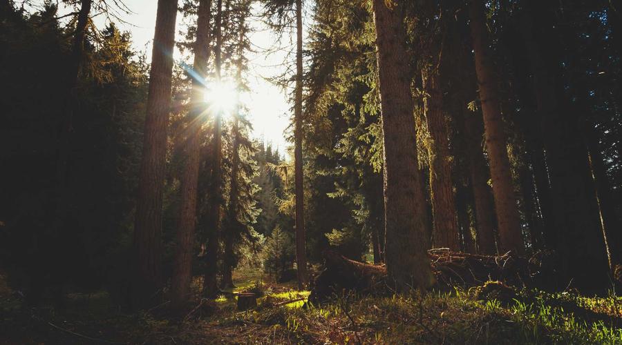 Feedback từ khách hàng Gen Alpha