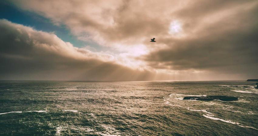 Tư vấn IVF tận tâm 2026