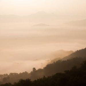 Sản phẩm liên quan