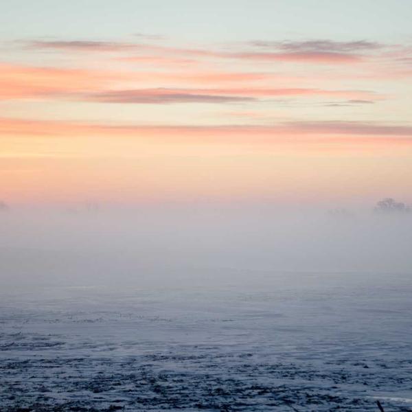 Món ăn Vegan Meal Prep 1