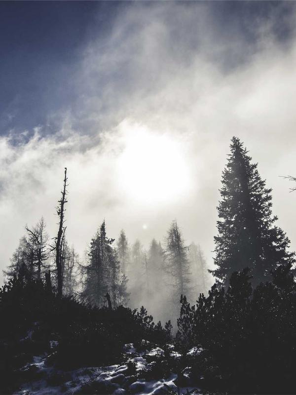 Sảnh Louis XIV Royal Palace