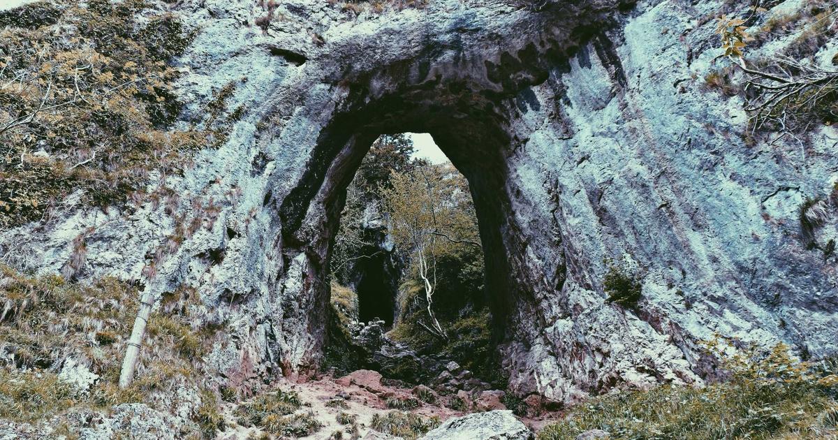 Phân tích tác động của trí tuệ nhân tạo (AI) đến việc làm ngành IT: Góc nhìn Hihi