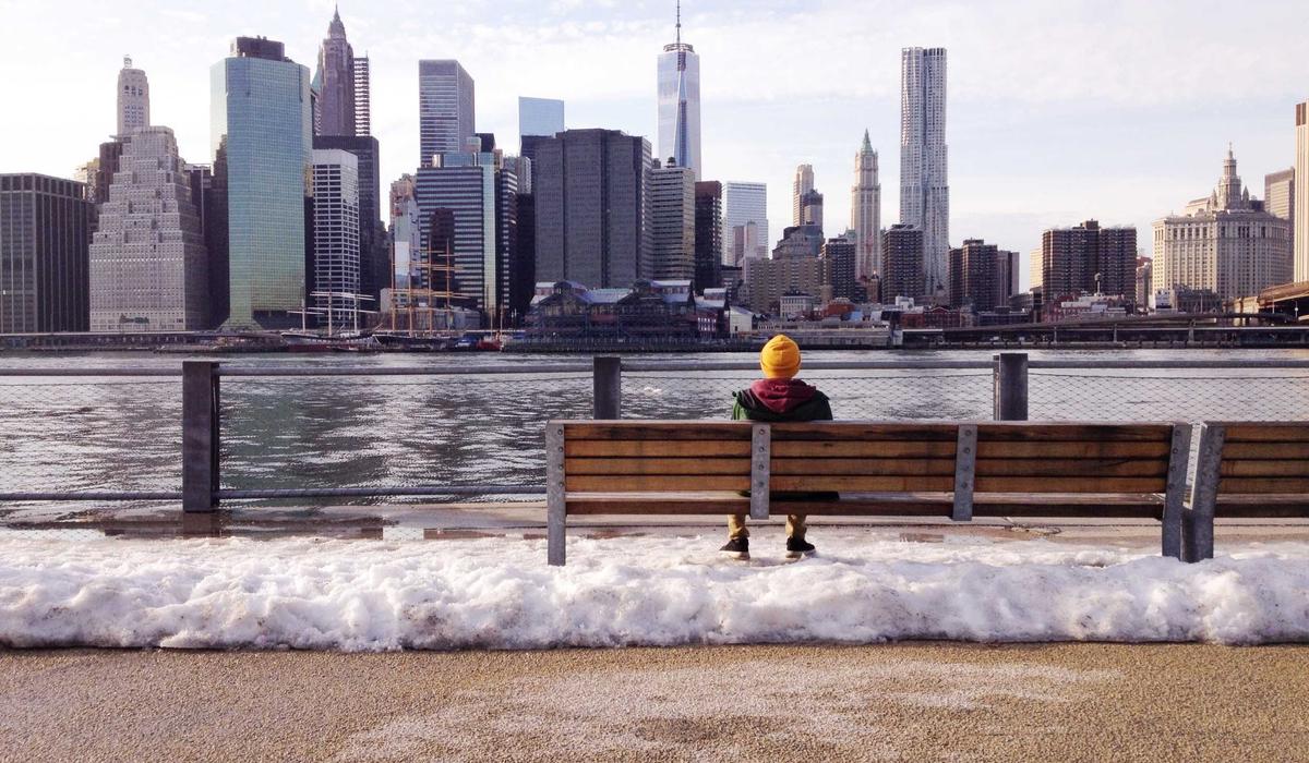 Không gian trưng bày thú cưng