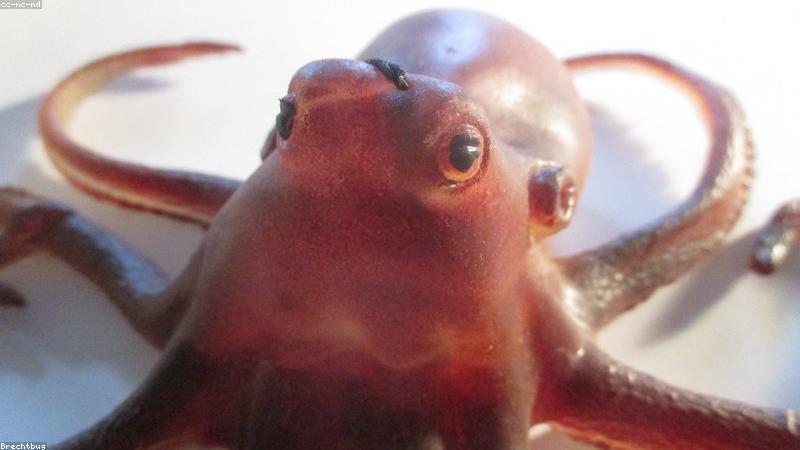 Xu hướng đồ chơi thông minh 2024