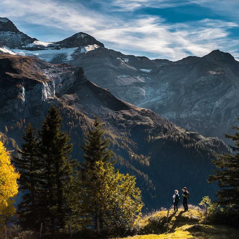 Váy đầm 2026 Cruise Elegant Maxi 2