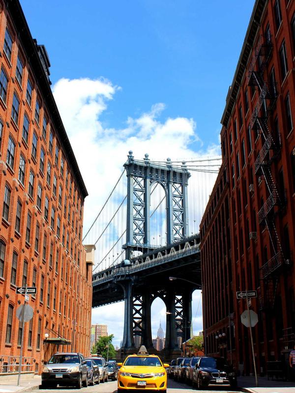 Specialty Coffee Profile